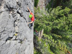 Frank Slabs, Digging for Gold 5.6