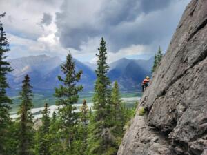 Frank Slabs, Digging for Gold 5.6