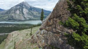 Cinquefoil, Cailyn's Route 5.7