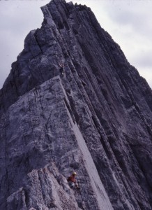 Old Boys, Mount Colin        